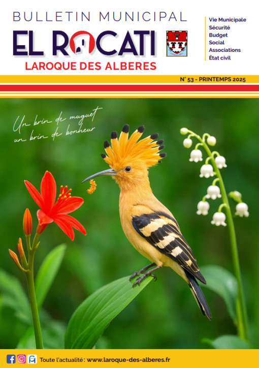 couverture 53