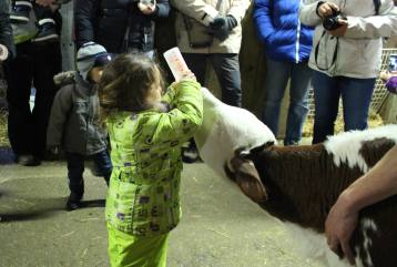 La ferme du Rialet à La Llagonne