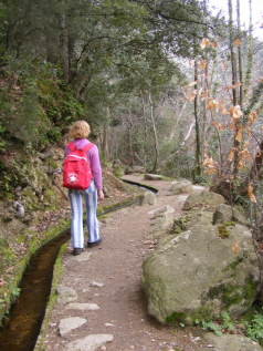 Le canal d'irrigation à Laroque des Albères sert actuellement à l'irrigation des jardins.