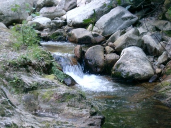 la rivière à laroque des albères