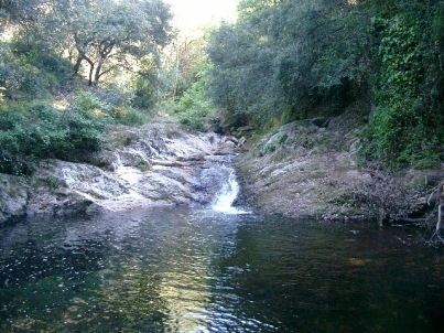 les caranques à laroque des albères