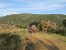 Un sentier entre vignes et forêts