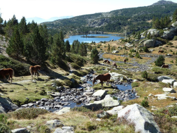 Le Tour des lacs du Carlit, Pyrénées-Orientales