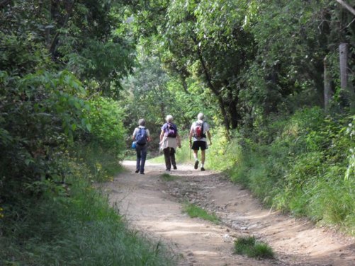 Randonneurs dans les Albères, Pyrénées Orientales