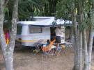 Emplacement ombragé au camping Le Vivier à Laroque des Albères