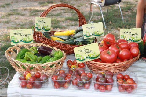 Vente de légumes sur le marché de Laroque des Albères, Pyrénées Orientales